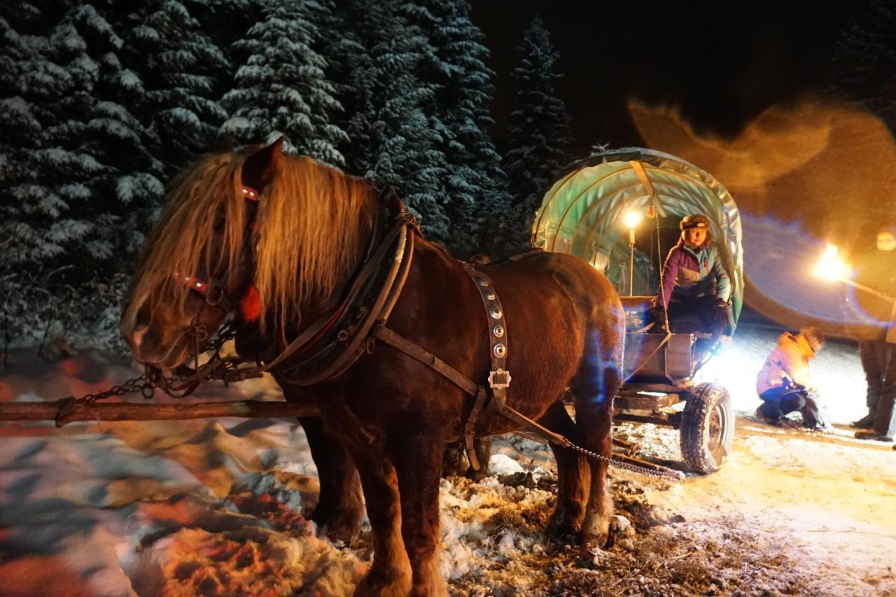 Chata Nad Roztokami Baligród Esterno foto