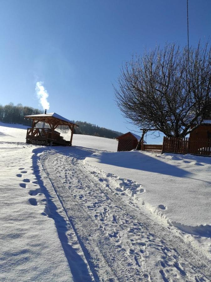 Chata Nad Roztokami Baligród Esterno foto