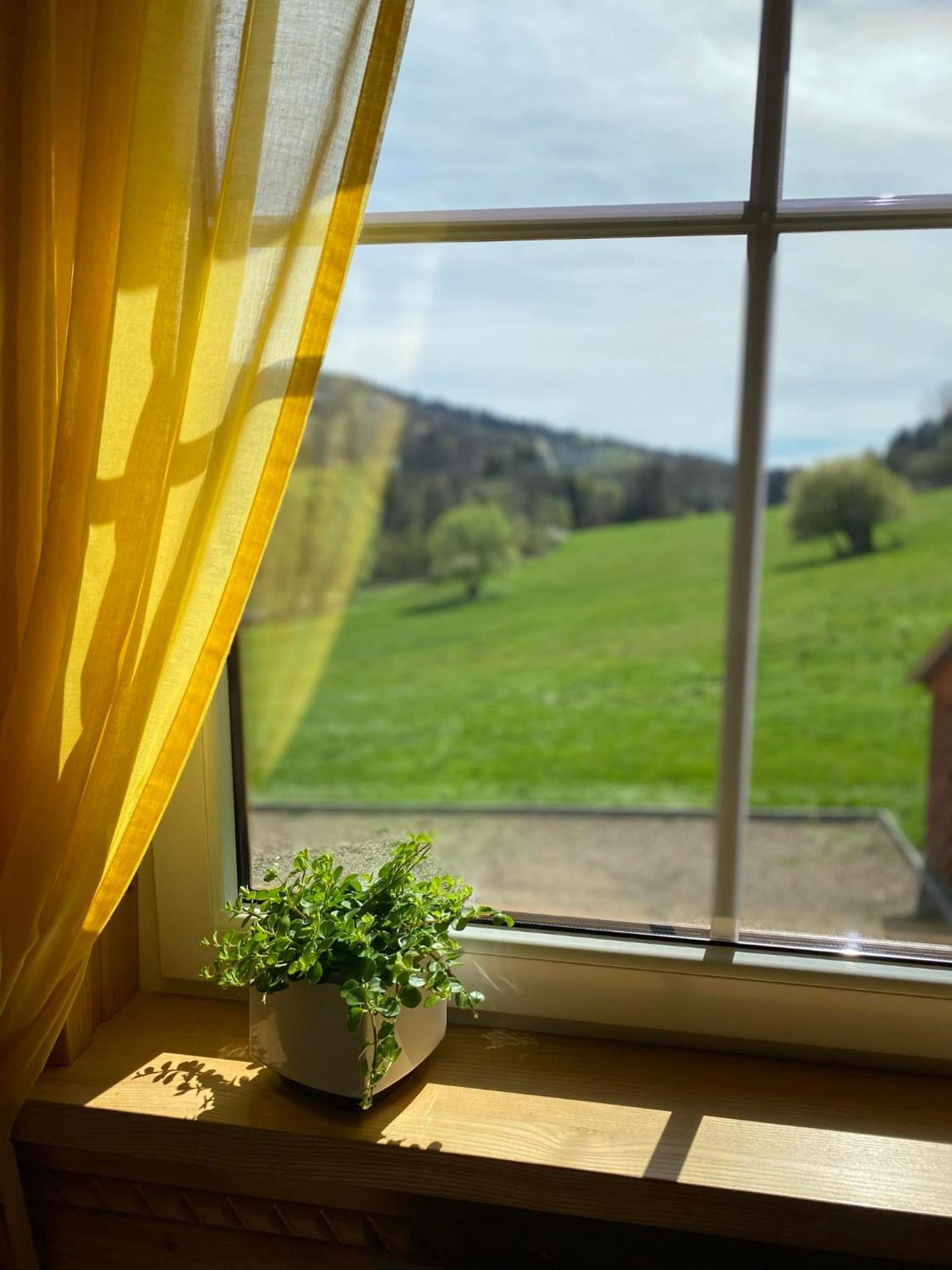 Chata Nad Roztokami Baligród Esterno foto